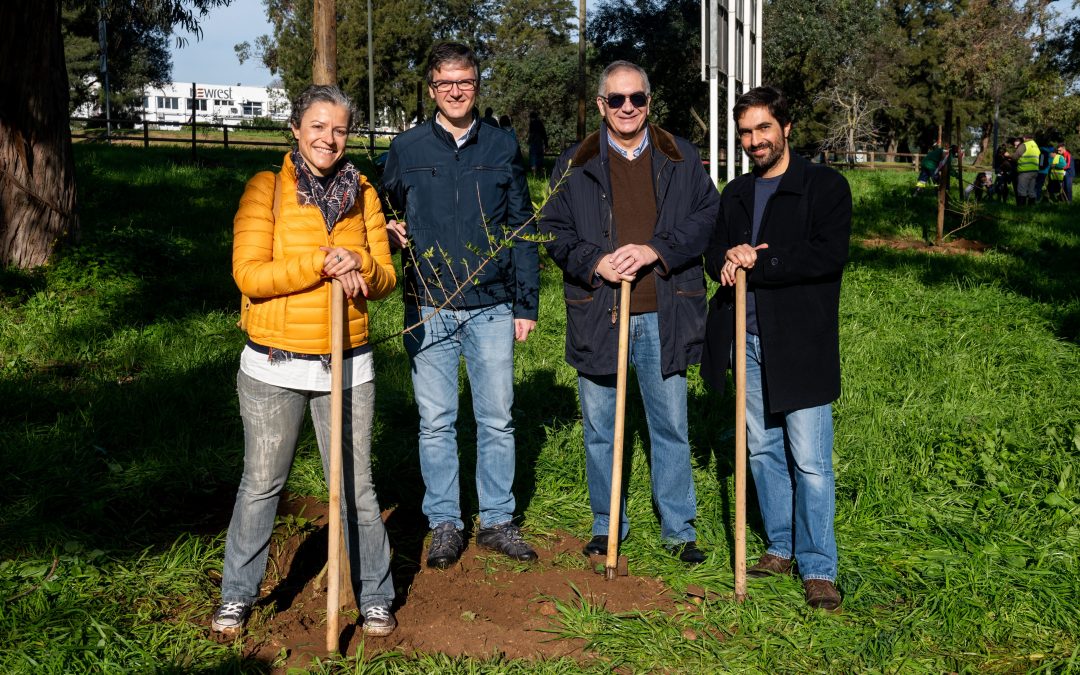 Towards Carbon Neutrality at the 2020 ITS European Congress